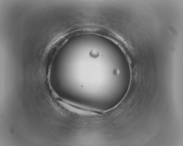 X0000116001448200912031459