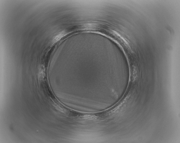 X0000116001449200912031459