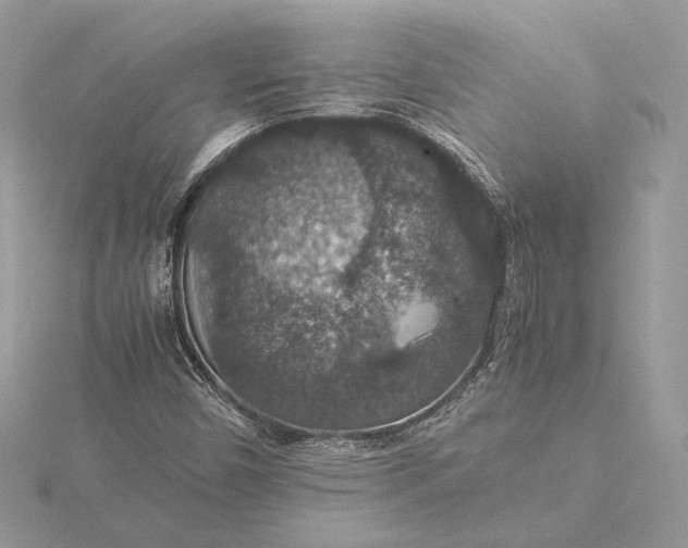 X0000116001450200912031459