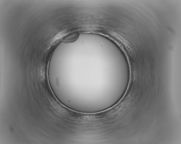 X0000116001451200912031459