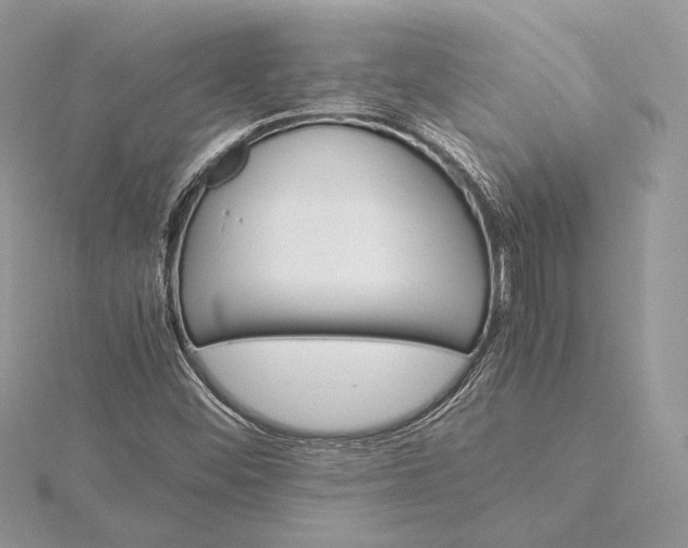 X0000116001452200912031459