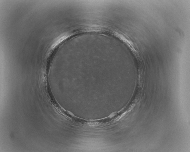 X0000116001453200912031459