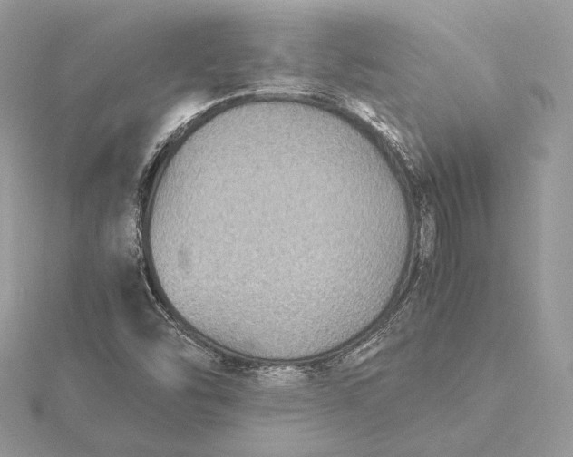 X0000116001454200912031459