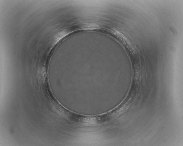 X0000116001457200912031459