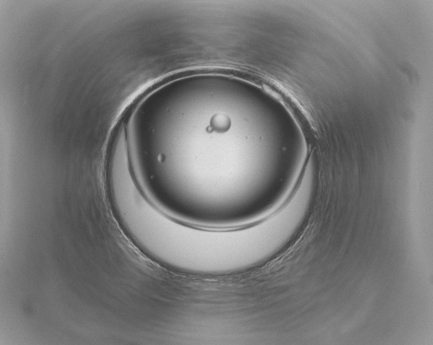 X0000116001460200912031458