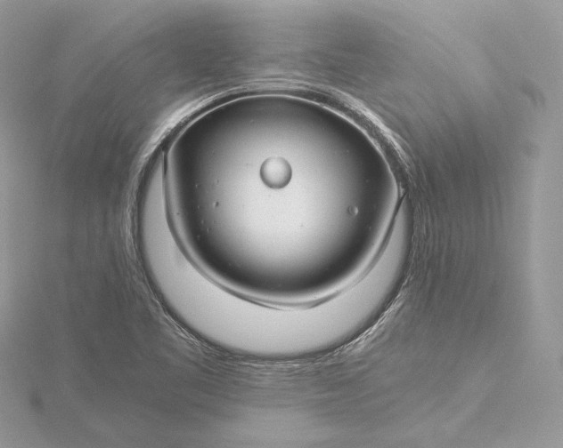 X0000116001461200912031458