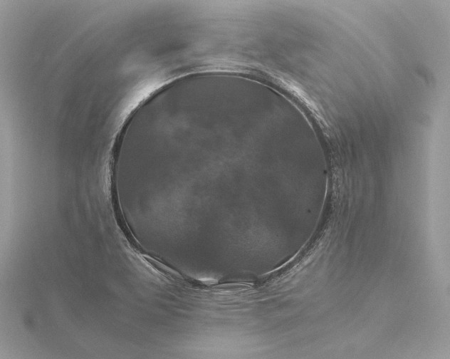 X0000116001463200912031458