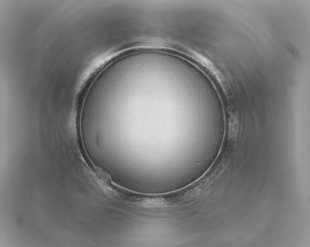 X0000116001464200912031458