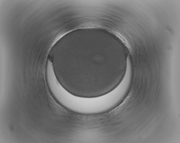 X0000116001465200912031458