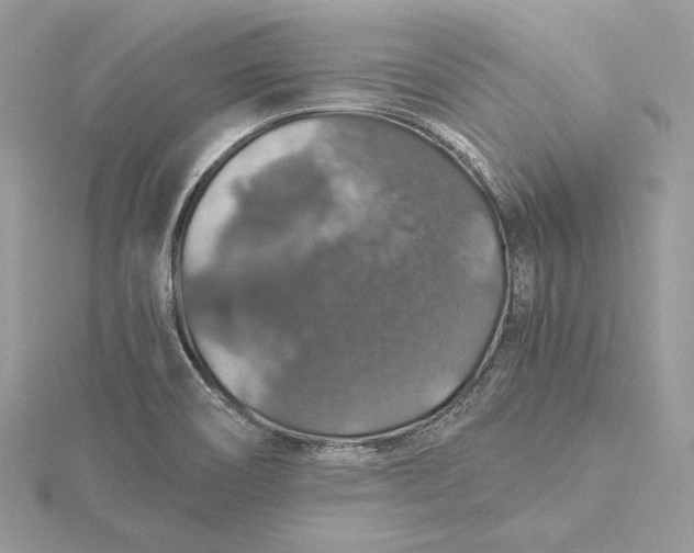 X0000116001466200912031458