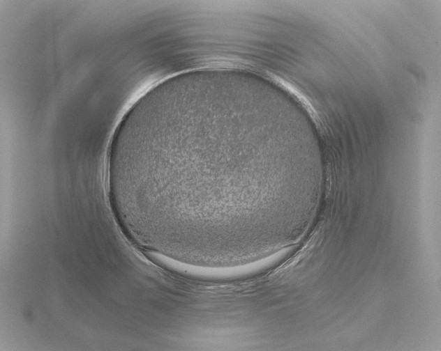 X0000116001467200912031458