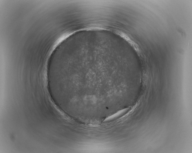 X0000116001469200912031458