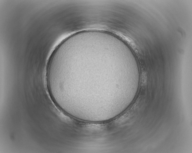 X0000116001470200912031458