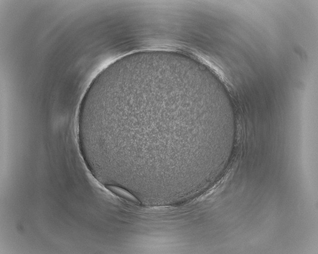 X0000116001471200912031458