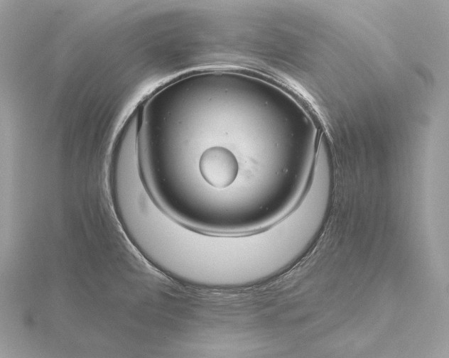 X0000116001472200912031458