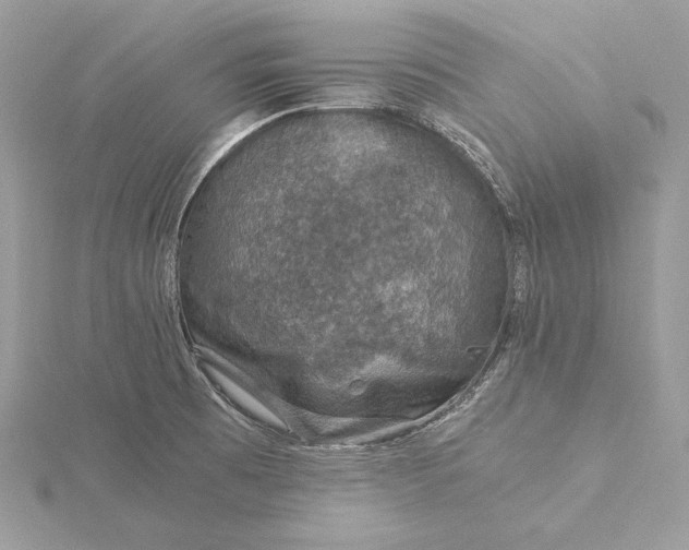 X0000116001473200912031458