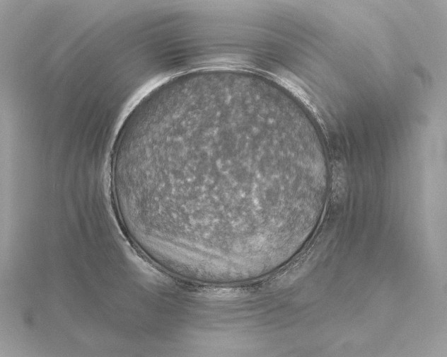 X0000116001474200912031458