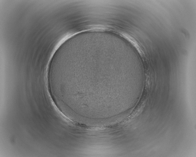 X0000116001475200912031458