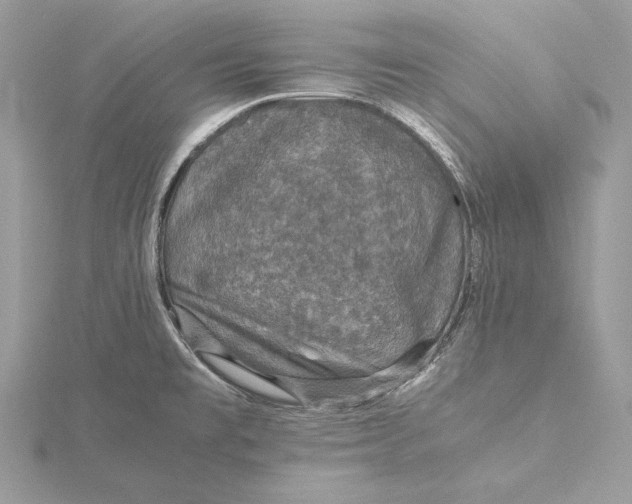 X0000116001477200912031458