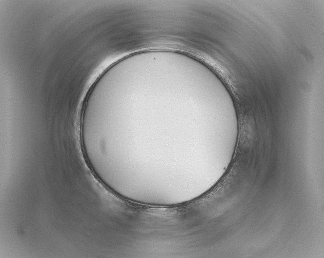 X0000116001478200912031458