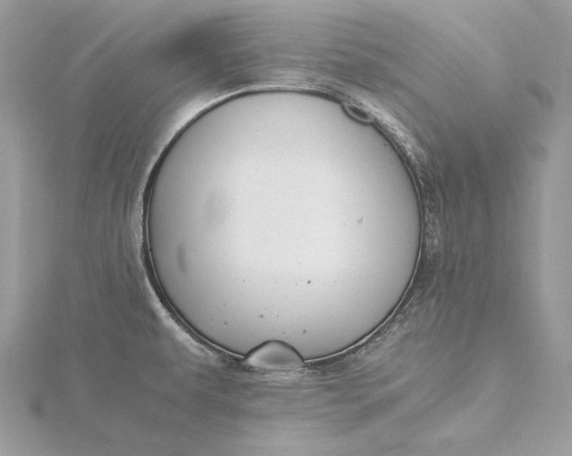 X0000116001479200912031458