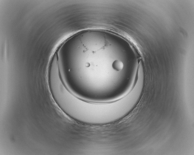 X0000116001480200912031458