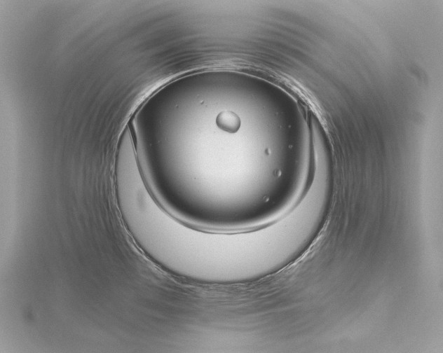 X0000116001481200912031458