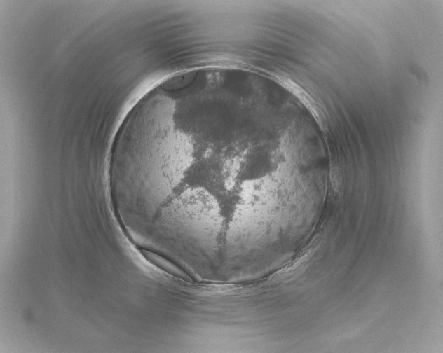 X0000116001482200912031458