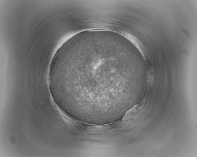 X0000116001485200912031458