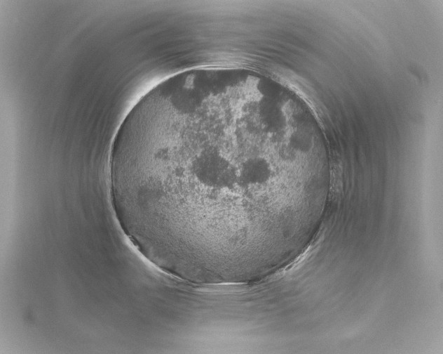 X0000116001487200912031458