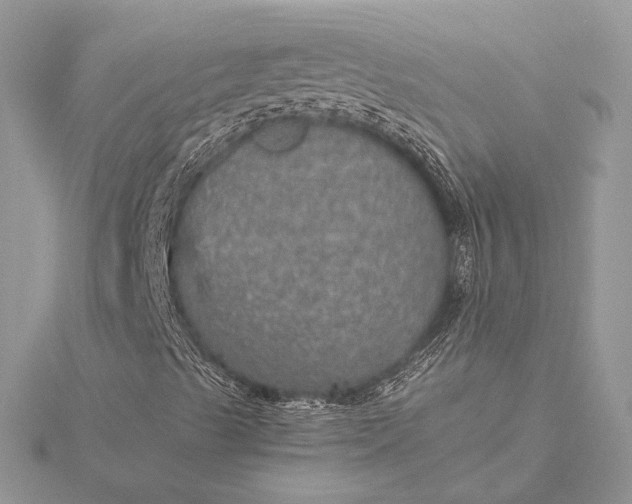 X0000116001489200912031458