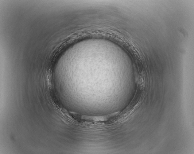 X0000116001490200912031458