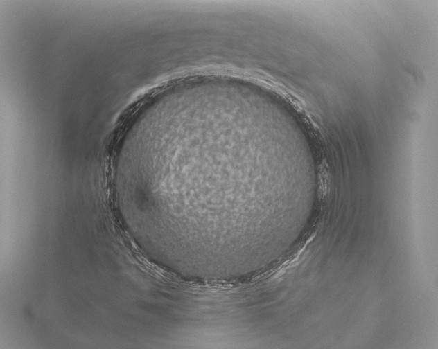 X0000116001494200912031458