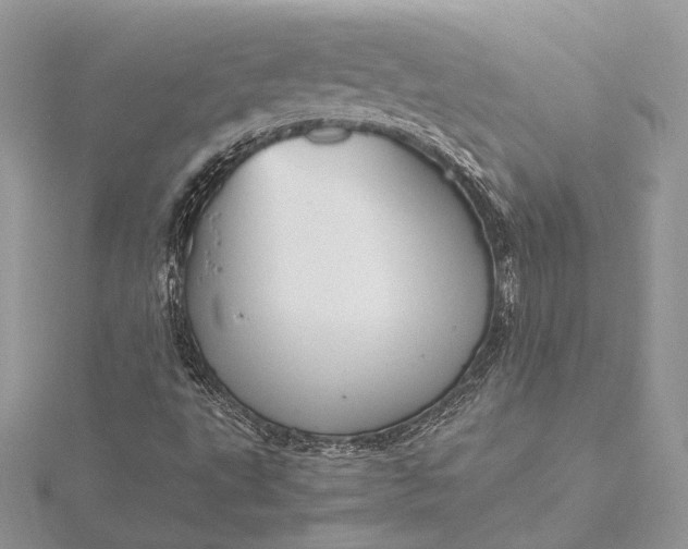 X0000116001495200912031458