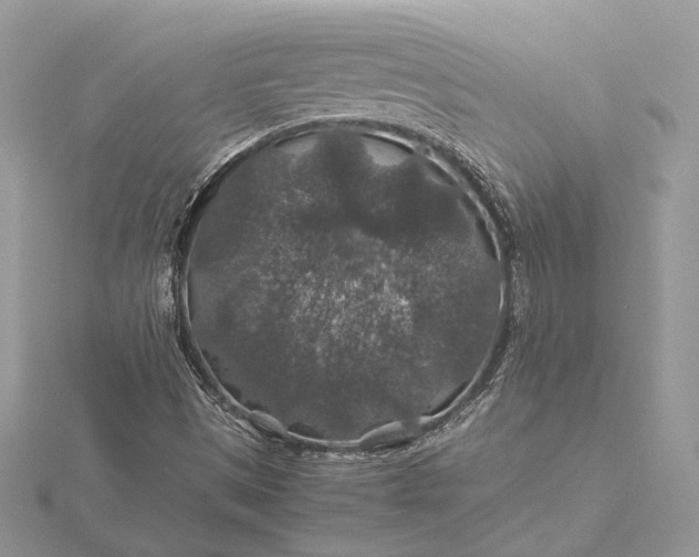 X0000116001497200912031458