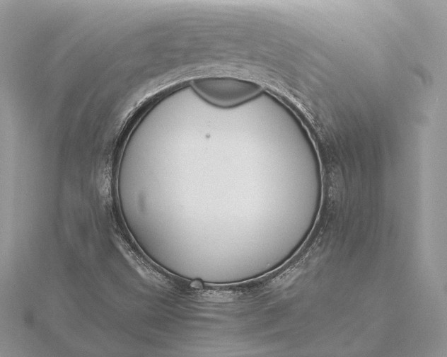 X0000116001499200912031458