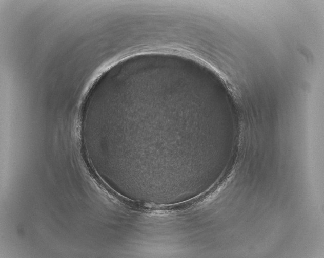 X0000116001506200912031458