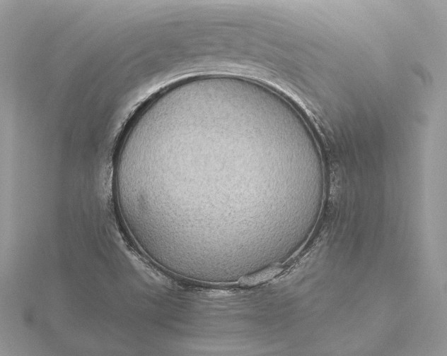 X0000116001507200912031458