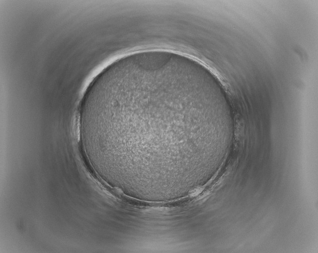 X0000116001510200912031458