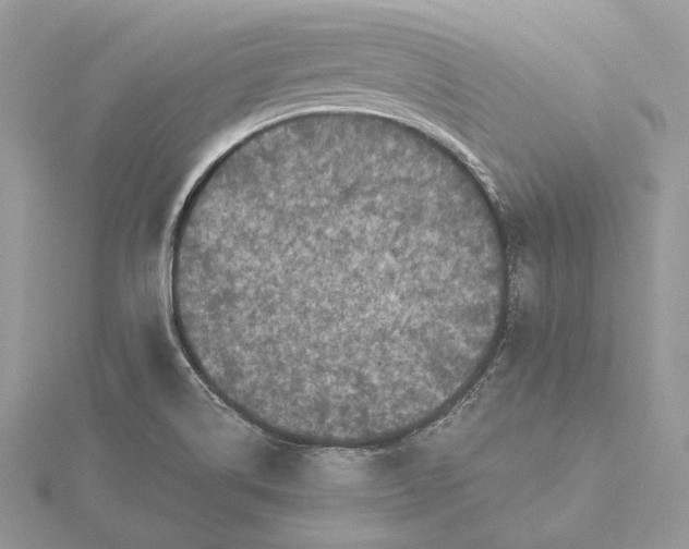 X0000116001514200912031458