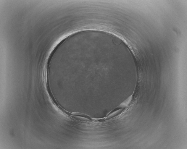 X0000116001515200912031458