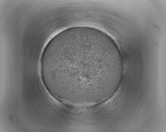 X0000116001517200912031458