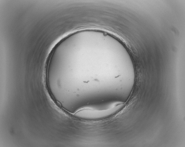 X0000116001518200912031458