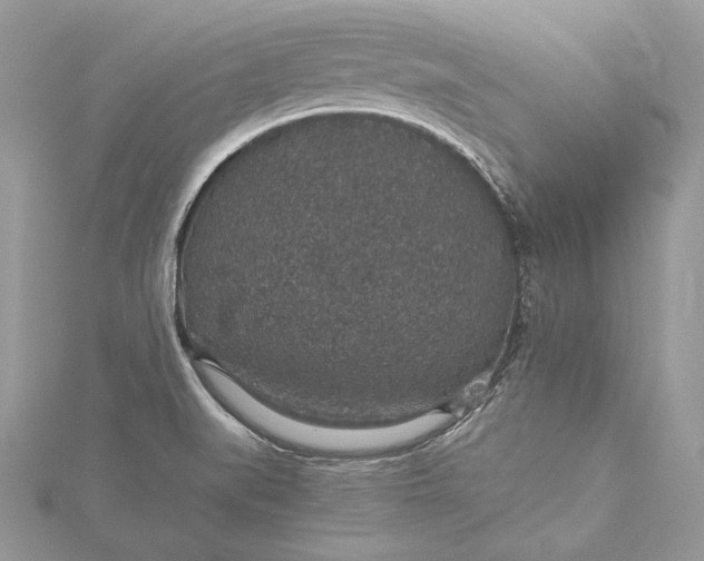 X0000116001519200912031458