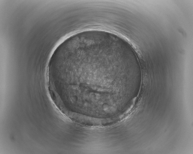 X0000116001522200912031458