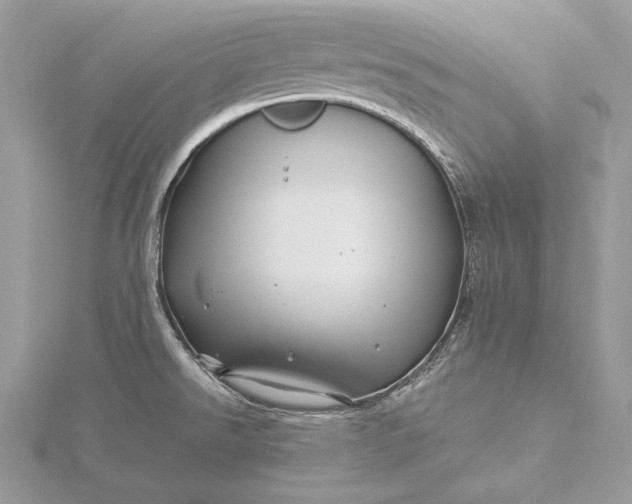 X0000116001526200912031458