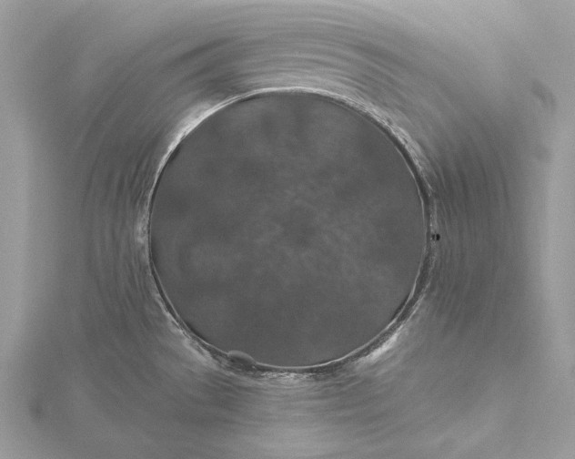 X0000116001529200912031458