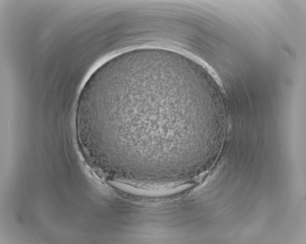 X0000116001530200912031458