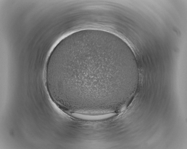 X0000116001531200912031458