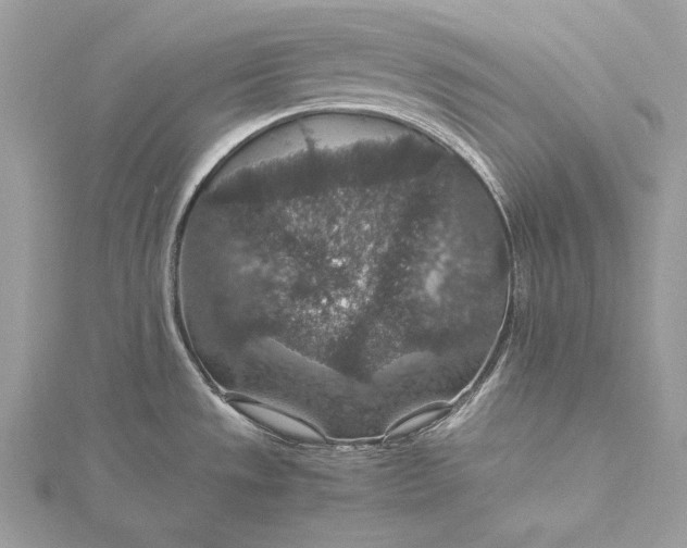 X0000116001533200912031458